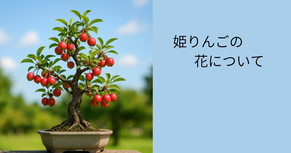 姫りんごの盆栽の花が咲かない時の受粉と剪定の見直しポイント